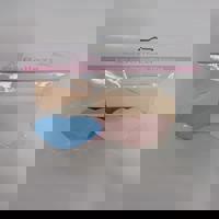 Esponja
